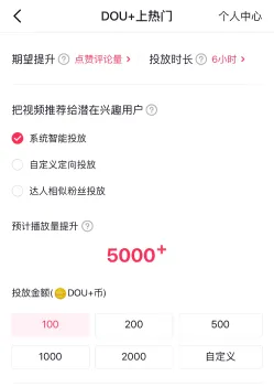 ADVERTISING IN DOUYIN - 1 